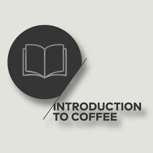 Introduccion al Café - SCA