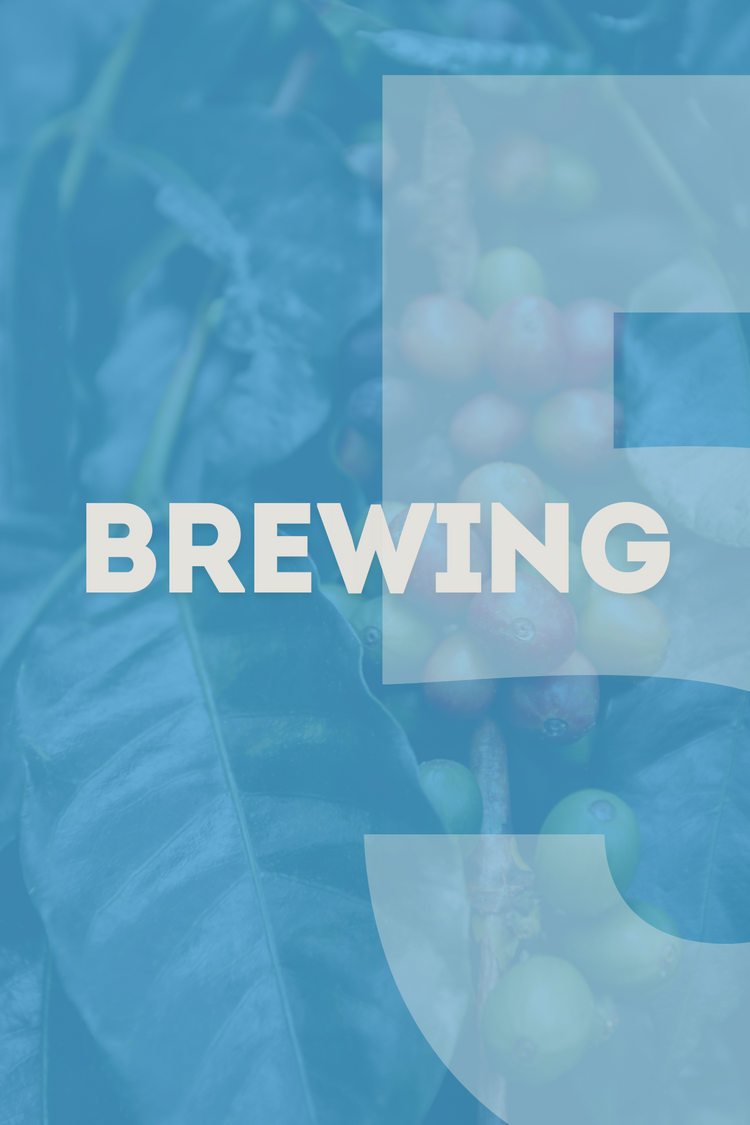 Barista Brewing